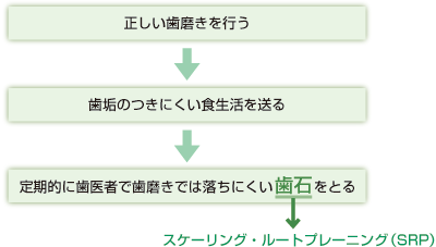 プラークコントロール