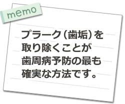 プラーク（歯垢）を取り除くことが歯周病予防のもっとも確実な方法です。